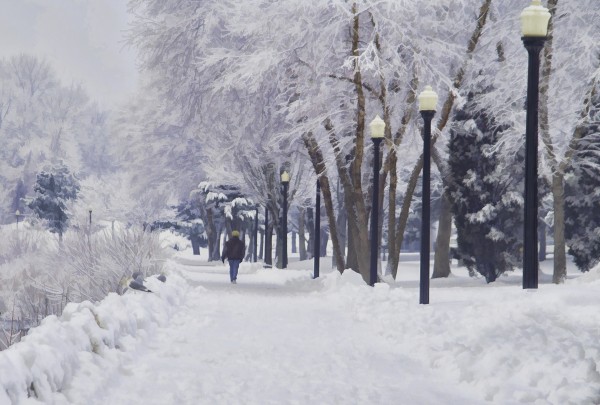 Winter Walk  by Lee Fortier